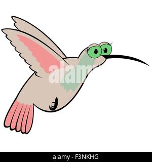 Kolibri (Kolibri) isoliert auf weißem Hintergrund. Hand Zeichnung Cartoon-Vektor-illustration Stock Vektor