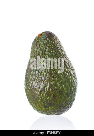 Frische Avocado. Isoliert auf weißem Hintergrund Stockfoto