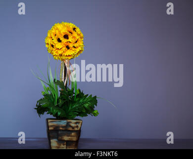 Sonnenblumen in einer Vase Stockfoto