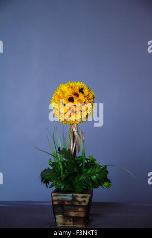 Sonnenblumen in einer Vase Stockfoto