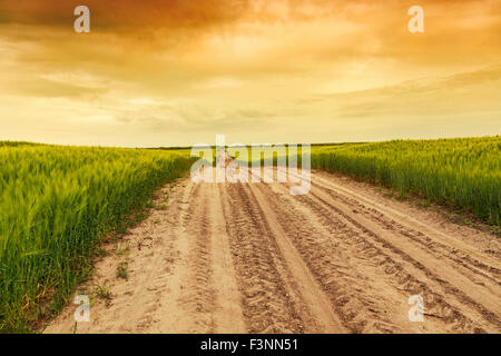 Sommerlandschaft mit grünem Rasen, Straße und Wolken in Ungarn Stockfoto