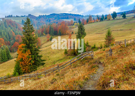 Bunter Herbst Landschaft Szene mit Zaun in Siebenbürgen Berg-Rumänien Stockfoto