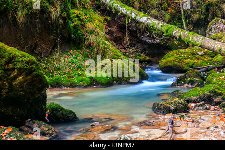 Forest Creek tief im Berg in Siebenbürgen, Rumänien Stockfoto