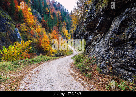 Galbena Canyon im Apuseni-Gebirge, Siebenbürgen-Rumänien Stockfoto