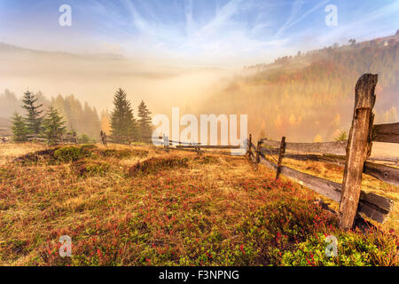 Bunter Herbst Landschaft Szene mit Zaun in Siebenbürgen Berg-Rumänien Stockfoto