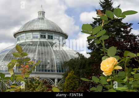 New York Botanical Garden. Kazimoroff Bronx River Parkway und Boulevard. Es hat einen großen viktorianischen Wintergarten namens Enid A Haup Stockfoto