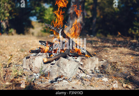 Lagerfeuer in den herbstlichen Wald. Kohlen. Hintergrund Stockfoto