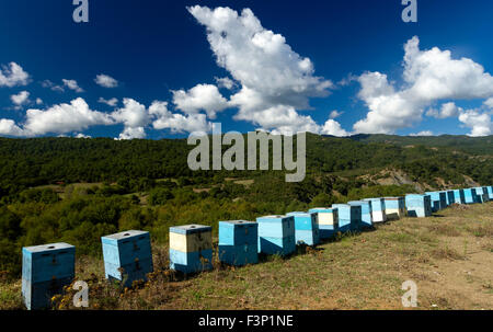 Bienenstöcke in der griechischen Region von Amfilochia. Stockfoto