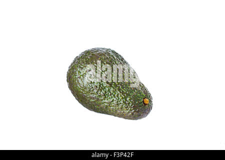 Frische Avocado. Isoliert auf weißem Hintergrund Stockfoto