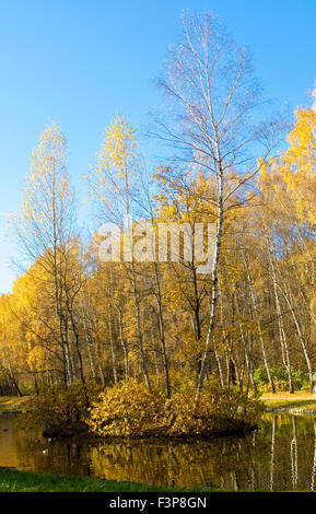 Herbstlandschaft - kleine Insel auf See im Birkenwald, vertikale. Aufgenommen am Putyaevskiye Seen im Park Sokolniki in Moskau. Stockfoto