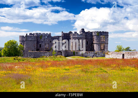 Die Ruinen des 13. Jahrhunderts normannischen Schlosses in Carew in Pembrokeshire, Wales, UK Stockfoto