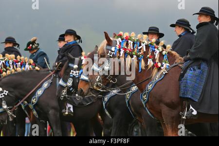 Schwangau, Deutschland. 11. Oktober 2015. Frauen in traditioneller Tracht sitzen auf festlich geschmückten Pferden in der Nähe von Schwangau, Deutschland, 11. Oktober 2015. Sie nehmen Teil in das Fest der St. Coloman in Schwangau jedes Jahr gefeiert wird. Fahrer nehmen Teil in einer Prozession und Messe, in dem die Pferde gesegnet sind. Der Legende nach der Ire Coloman ruhte, predigte und trieben Vieh in Schwangau auf seiner Pilgerreise von Irland nach Jerusalem. Foto: KARL-JOSEF HILDENBRAND/DPA/Alamy Live-Nachrichten Stockfoto