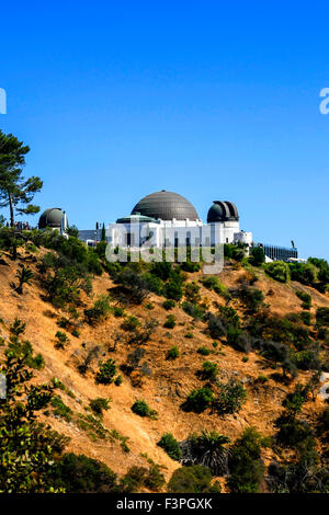 Das Griffith Observatory im Griffith Park mit Blick auf Los Angeles CA Stockfoto