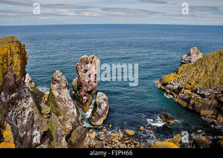 St. Abbs; Schottland; UK Stockfoto