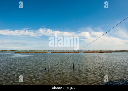 Italien, Emilia Romagna, Valli di Comacchio, Comacchio Täler, Park-Po-delta Stockfoto