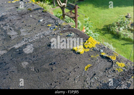 Scheitern und der sich verschlechternden Flachdach bis Eröffnung gemeinsame Risse untergegangenen Dach alte und undichte untergegangenen Oberfläche Bitumen fühlte geknackt Stockfoto