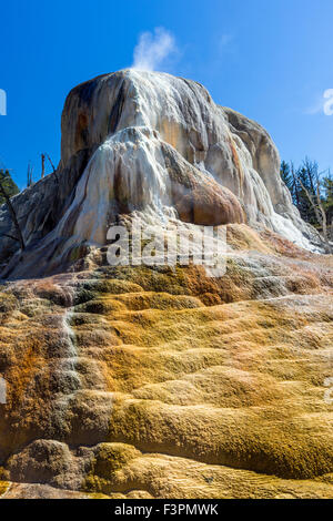 Orange-Frühling Hügel; Mammoth Hot Springs; Yellowstone-Nationalpark; Wyoming; USA Stockfoto