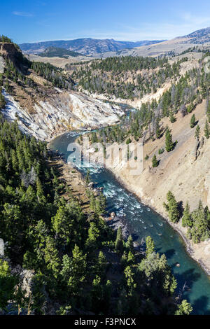 Calcit-Federn; Yellowstone River; Grand Canyon des Yellowstone, Yellowstone-Nationalpark, Wyoming, USA Stockfoto