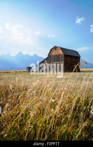 Historischen Thomas Murphy Scheune; Moulton Homestead (c 1910); Mormonen Zeile Altstadt; Grand Teton Nationalpark; Wyoming; USA Stockfoto