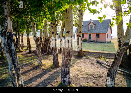 Historisches Haus Pink Stuck; John Moulton Homestead (c. 1910), Mormonen Zeile Altstadt; Grand Teton Nationalpark; Wyoming Stockfoto