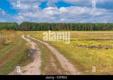 Ukrainische Landschaft mit Erde Weg zum Wald am Ende des Sommers Stockfoto