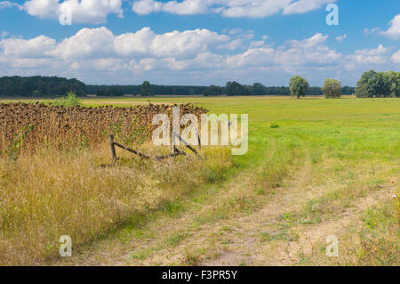 Spätsommer-Landschaft im ländlichen Raum, die Zentralukraine Stockfoto