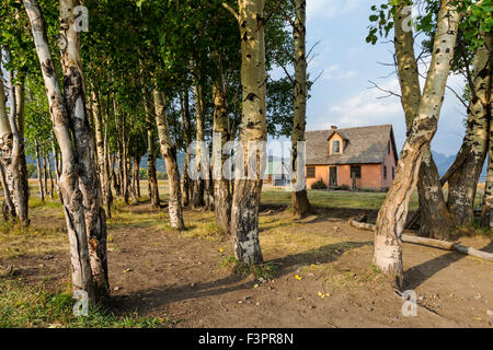 Historisches Haus Pink Stuck; John Moulton Homestead (c. 1910), Mormonen Zeile Altstadt; Grand Teton Nationalpark; Wyoming Stockfoto