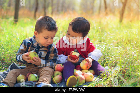 kleine Kinder zwei Äpfel essen im park Stockfoto