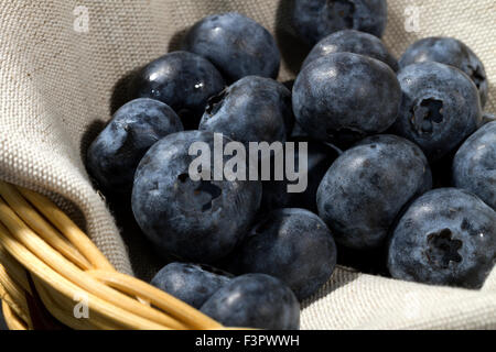 Heidelbeeren in einem Korb Stockfoto