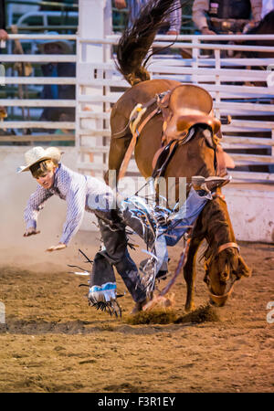 Rodeo Cowboy Reiten ein unruhiges Pferd, Sattel Bronc Wettbewerb, Chaffee County Fair & Rodeo, Salida, Colorado, USA Stockfoto