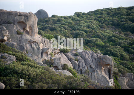 Bizarre Sandsteinfelsen im Süden Korsikas, Frankreich Stockfoto