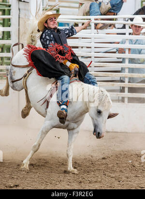 Rodeo Cowboy Reiten ein unruhiges Pferd, Sattel Bronc Wettbewerb, Chaffee County Fair & Rodeo, Salida, Colorado, USA Stockfoto