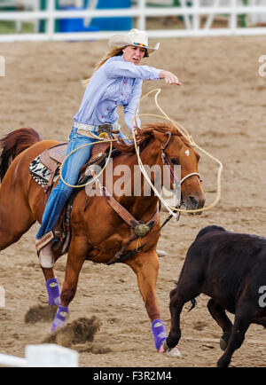 Rodeo Cowgirl auf Reiten im Wettbewerb mit Kalb roping oder Tie-Down Abseilen Event, Chaffee County Fair & Rodeo, Salida, Colorado USA Stockfoto