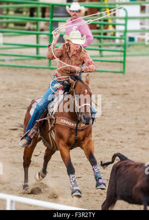 Rodeo Cowgirl auf Reiten im Wettbewerb mit Kalb roping oder Tie-Down Abseilen Event, Chaffee County Fair & Rodeo, Salida, Colorado USA Stockfoto