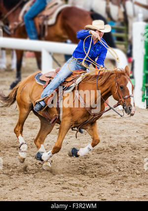 Rodeo Cowgirl auf Reiten im Wettbewerb mit Kalb roping oder Tie-Down Abseilen Event, Chaffee County Fair & Rodeo, Salida, Colorado USA Stockfoto