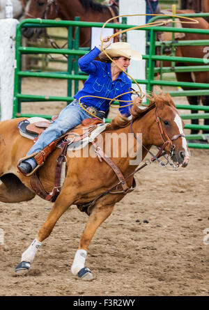 Rodeo Cowgirl auf Reiten im Wettbewerb mit Kalb roping oder Tie-Down Abseilen Event, Chaffee County Fair & Rodeo, Salida, Colorado USA Stockfoto