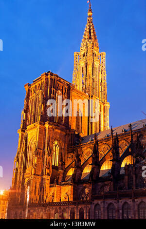 Straßburger Münster bei Sonnenuntergang Stockfoto