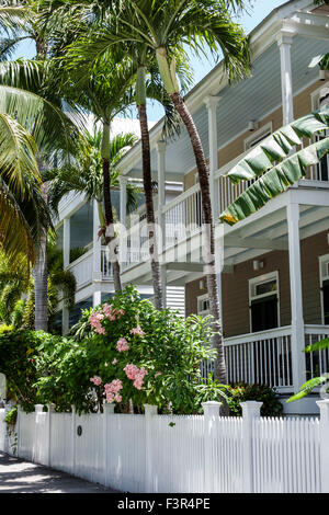 Key West Florida, Keys, Front Street, weißer Pfostenzaun, Häuser, Häuser, Palmen, FL150509027 Stockfoto