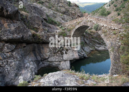 Genuesische Brücke, in der Nähe von Asco, Korsika, Frankreich Stockfoto