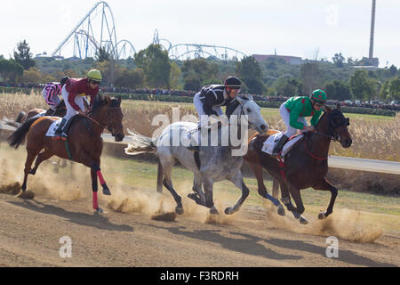 Jockeys Reitpferde während eines Wettkampfes im Hippodrom Stockfoto