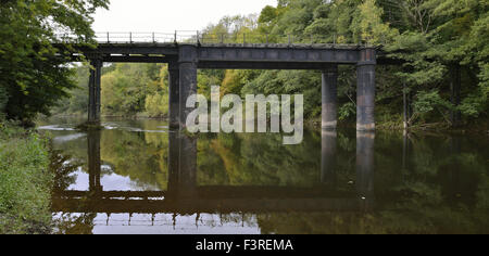 Stillgelegte Eisenbahnbrücke über den Fluss Wye Welsh Bicknor unteren Lydbrook verlinken Stockfoto