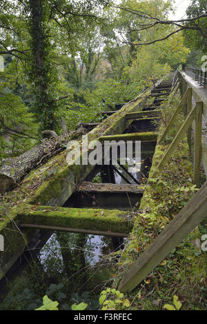 Stillgelegte Eisenbahnbrücke verlinken geringer Lydbrook Welsh Bicknor über den Fluss Wye angesehen von Herefordshire Seite Stockfoto