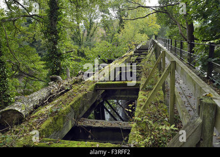 Stillgelegte Eisenbahnbrücke verlinken geringer Lydbrook Welsh Bicknor über den Fluss Wye angesehen von Herefordshire Seite Stockfoto