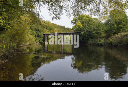 Stillgelegte Eisenbahnbrücke über den Fluss Wye Welsh Bicknor unteren Lydbrook verlinken Stockfoto