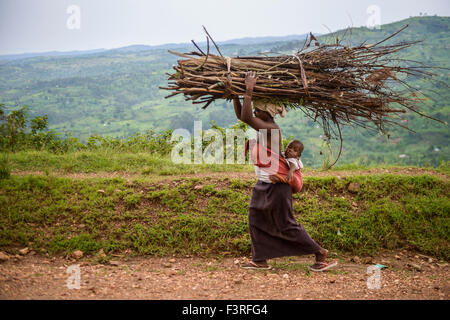 Frau mit Baby trägt Zweige auf Kopf, Uganda, Afrika Stockfoto