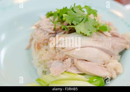 Dampf-Huhn mit Reis Stockfoto