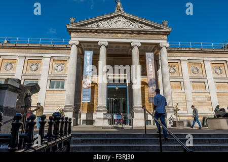 Das Museum für Kunst und Archäologie in Oxford Stadt Oxfordshire UK Stockfoto