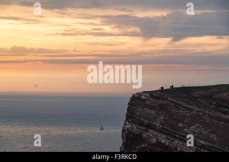 Fotografen, die Bilder von Basstölpel bei Sonnenuntergang, Helgoland, Schleswig-Holstein, Deutschland Stockfoto