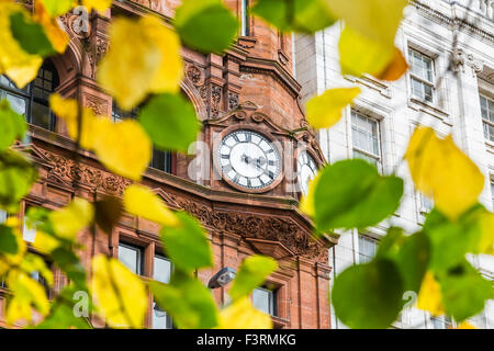 Eine Uhr, die durch herbstliche Blätter betrachtet wird, Glasgow, Schottland, Großbritannien Stockfoto