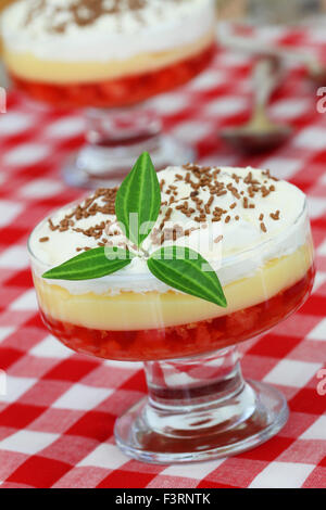 Traditionelles englisches trifle Dessert auf rot-weiß karierte Tuch Stockfoto